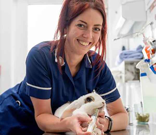 Hospital and Critical Care