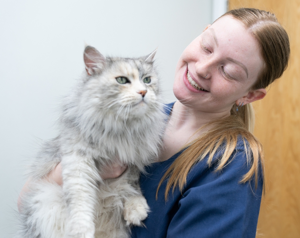 Priory Lodge Vets: Pet Health Club for cats